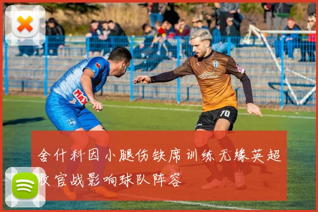 舍什科因小腿伤缺席训练无缘英超收官战影响球队阵容