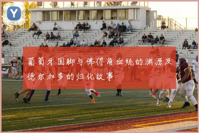 葡萄牙国脚与佛得角血统的渊源及德尔加多的归化故事